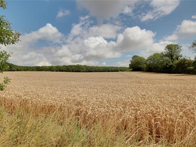 Picture 8